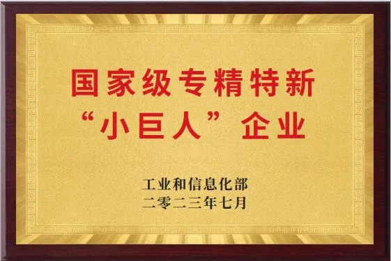 “小巨人”企业