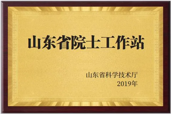 山东省院士工作站