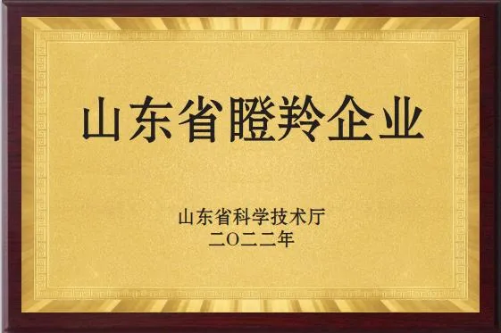山东省瞪羚企业
